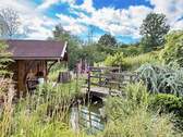 Idyllischer Teich mit schicker Brücke - 