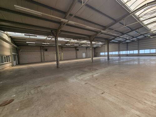 Bild 12 - 