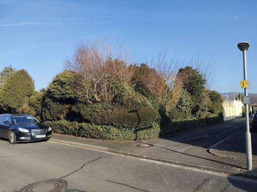Schön eingewachsen - 4 Zimmer Mehrfamilienhaus, Wohnhaus in Kleinostheim