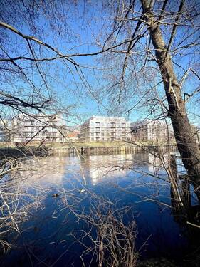 IMG_3626 - 