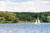 Havel - 