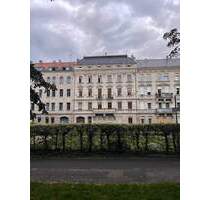 3,5 Zimmer Hochpaterre, 130 m², mit Hinterhof, Belle Epoque läßt grüßen, Anfragen bitte nur von 2 Personen max. mit einem kleinem Kind ! Park - Fürth Innenstadt