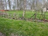 Blick zum Nachbarn - 