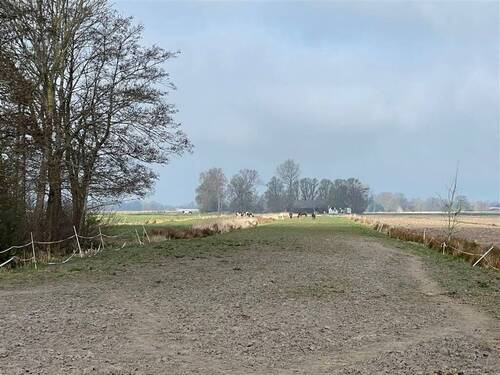Weidefläche - 