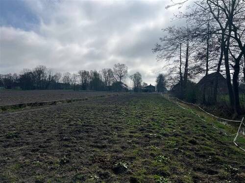Blick zum Hof - 