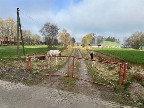 Herzlich Willkommen - Ideal für Pferdehalter! Resthof mit Pferdeboxen und 4 ha Weideland am Haus! Odisheim
