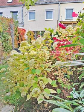 Hausansicht / Grundstücksseite - 