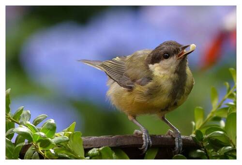 Herzlich Willkommen, sagt Hensel Immobilien! :) - Komfortabel wohnen: Renovierte Wohnung mit Terrasse, Badewanne, Dusche & Fußbodenheizung!