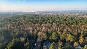Umgebung - Wannsee - 