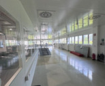 Reinraum - 