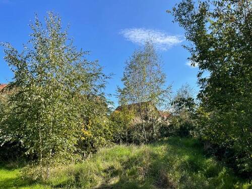 Ansicht von Nordwest (2) - 