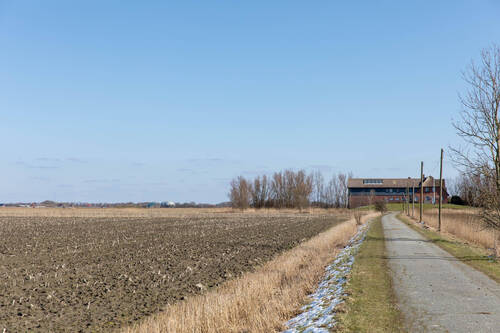 Zufahrt - Mehrfamilienhaus, Wohnhaus mit 500,00 m&sup2; in Pellworm zum Kaufen