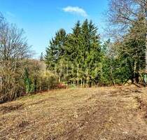 Idyllisches Hanggrundstück in unverbauter Waldrandlage! - Forchheim