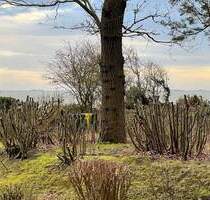 Attraktive Ferienwohnung (baurechtl. genehmigt) direkt am Südstrand (hervorragende Vermietbarkeit) - Wyk auf Föhr
