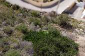 Bild 3 - Grundstück in Moraira