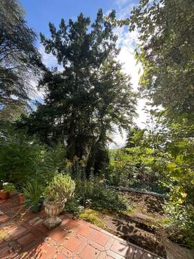 Außenansicht Garten - 