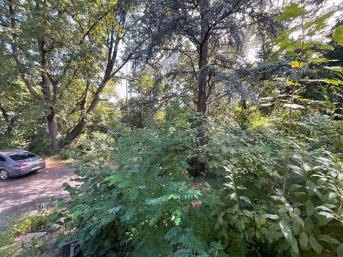 Außenansicht Garten - 