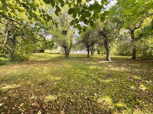 Außenansicht Garten - 