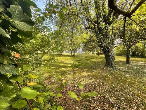 Außenansicht Garten - 6 Zimmer Einfamilienhaus zum Kaufen in Amberg