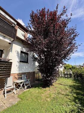 Garten vor dem Haus - 7 Zimmer Mehrfamilienhaus, Wohnhaus zum Kaufen in Korntal-Münchingen