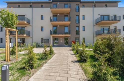 Screenshot 2025-04-01 160139.png - 