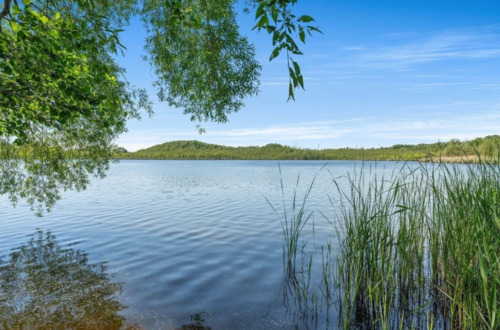 Screenshot 2025-04-01 160320.png - 