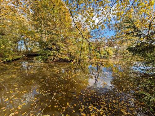 Gewässer am hinteren Grundstücksende - 
