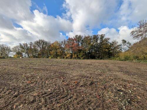 Blick Richtung Westen - 