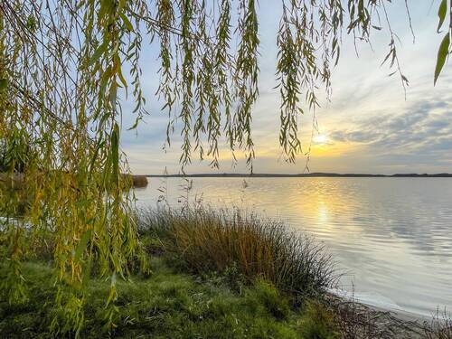 Titelbild - Baugrundstück in Rangsdorf - ruhige Lage nahe Rangsdorfer See