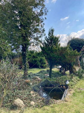 Garten Blick Richtung Norden - 