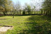Garten.jpg - 