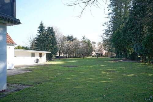 Blick in den Garten - 