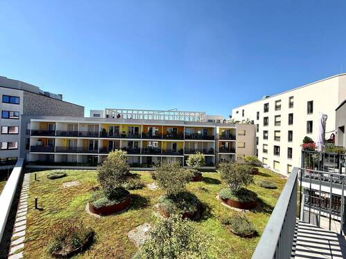 Ausblick in den Garten - 