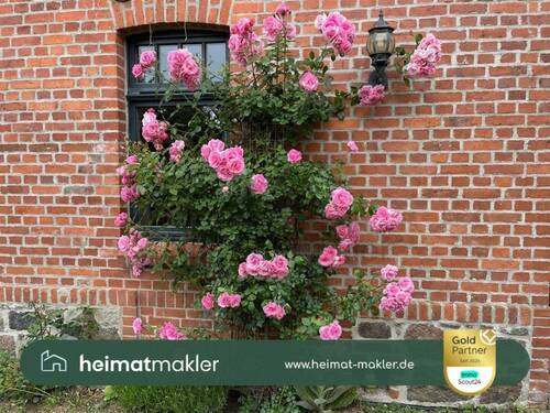 Ansicht Außenfassade - Einfamilienhaus mit 234,00 m&sup2; in Leipzig zum Kaufen