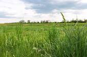 02_volkacher-str_Nbg_foto-anna-seibel.jpg - 