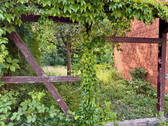 Blick in den Garten - 7 Zimmer Doppelhaushälfte in Bad Lauterberg
