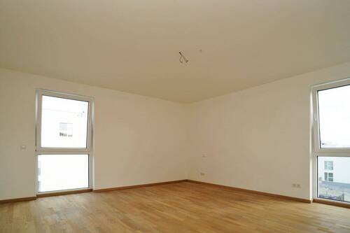 Schlafen1 - 
