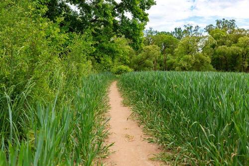Natur vor der Tür. Alltag auf Abstand. - 