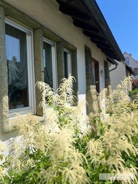 Fenster und Haustüre in Gewänden aus Grünsandstein - 7 Zimmer Einfamilienhaus zum Kaufen in Werl