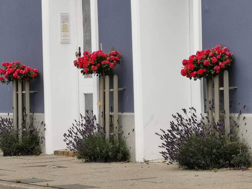 Bild 12 - 
