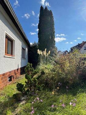 IMG_6262.jpg - 4 Zimmer Mehrfamilienhaus, Wohnhaus in Querfurt