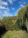 Garten Teilansicht - 