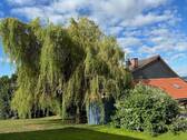 Garten Teilansicht - 