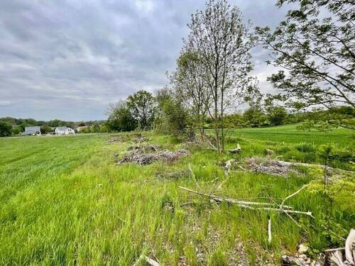 Blick - Grundstück zum Kaufen in Bischofswerda
