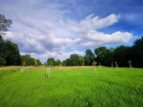 Blick - Grundstück in Bischofswerda zum Kaufen