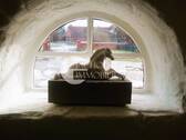 303.Haus_Gallerie_Fenster - 