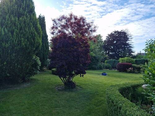 Blick in den schönen Garten - Einfamilienhaus mit 129,70 m² in Hattstedt zum Kaufen