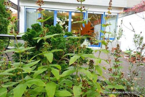 Blick vom Garten auf die Terrasse - 