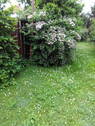 im Garten - 