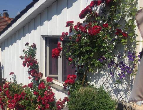 19f4b5ed-f7a2-4319-aac4-36074eebda8f.JPG - 